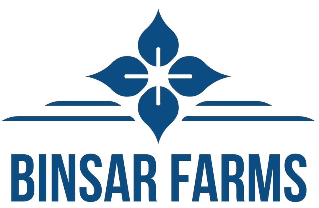 WhatsApp Image 2025-09-17 at 6.07.53 PM